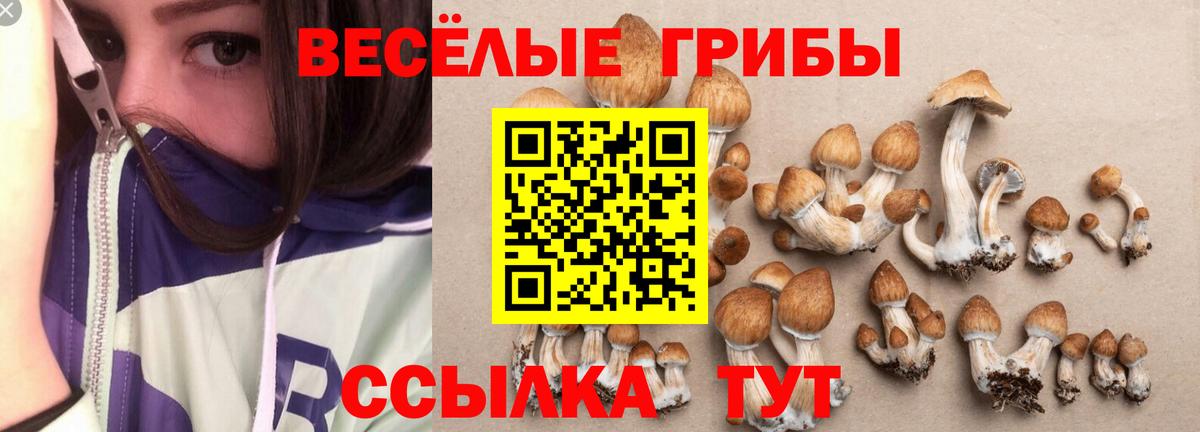 Галлюциногенные грибы GOLDEN TEACHER  Вход с VPN  Псилоцибиновые грибы прущие грибы  Карталы 